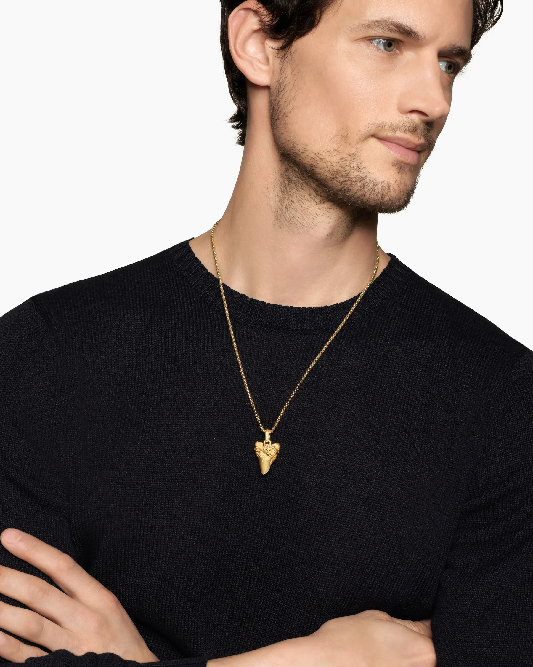 Waves Shark Tooth Amulet in Sterling Silver with 18K Yellow Gold, 25mm